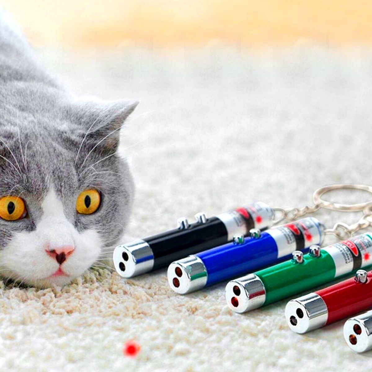 3 Fonksiyonlu Kırmızı Beyaz Işıklı Led Lazer Kedi Köpek Oyuncak Anahtarlık (4767)